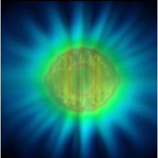Photon